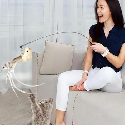 Handwand™- Jouet pour chat interact avec Ventouse Puissante - Patte-Pelu