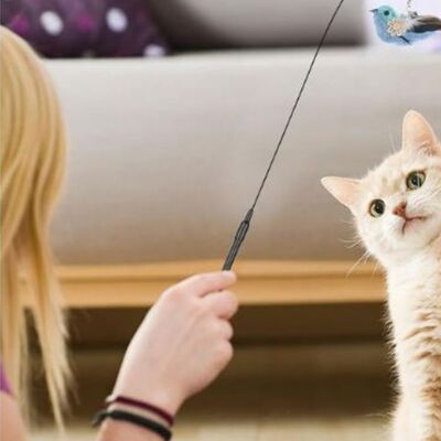 Handwand™- Jouet pour chat interact avec Ventouse Puissante - Patte-Pelu